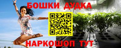 дживик Нальчик