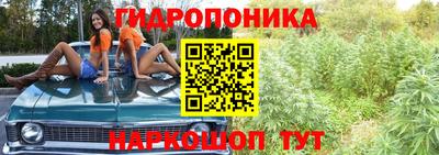 гашиш Нарткала