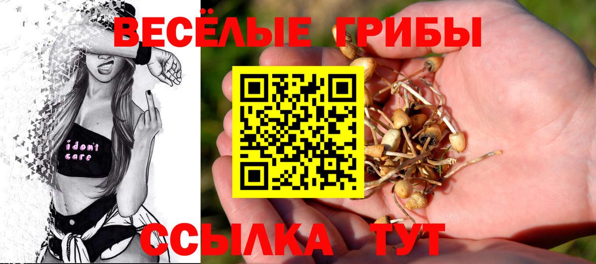 Сергиев Посад  Псилоцибиновые грибы Psilocybe  Вход с VPN 
